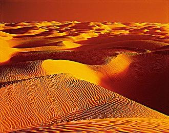 《勇气默示录》制作人暗示重制作品或即将推出