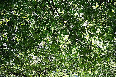 IW正在开发一款3A级开放世界RPG游戏